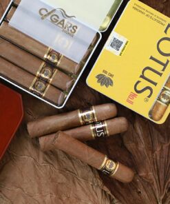 CIGAR LOTUS