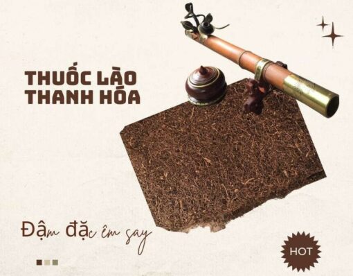 Thuốc lào Thanh Hóa
